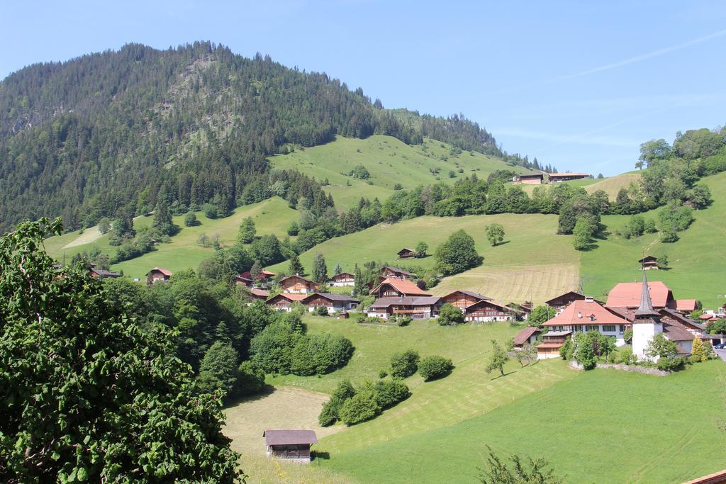 Chalet Park Apartment Mit Sauna Hamam Diemtigen Room photo