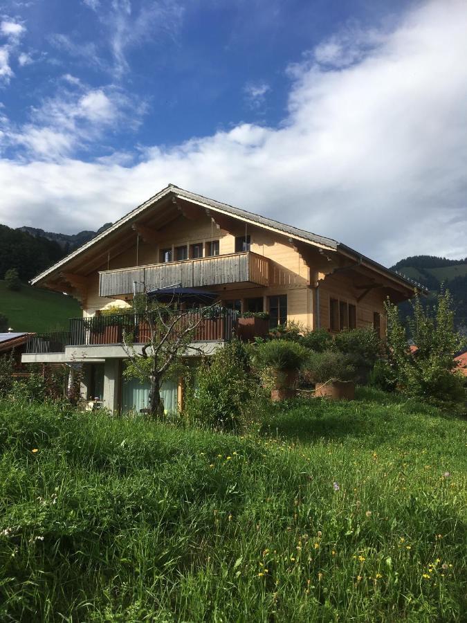 Chalet Park Apartment Mit Sauna Hamam Diemtigen Exterior photo